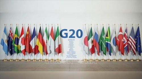 UN chief calls for G20’s cooperation on climate issues - ảnh 1