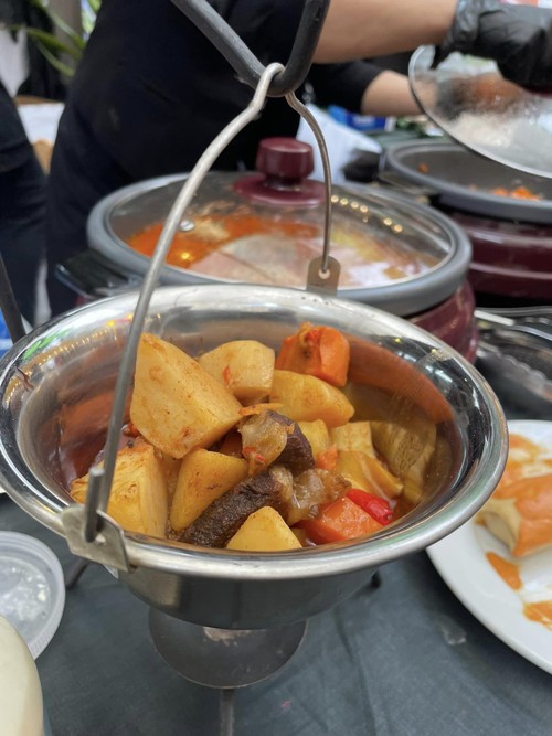 Hungarian Day 2023 brings Hungary closer to Hanoi’s citizens - ảnh 3