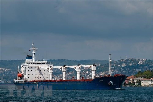 UN concerned about Black Sea Grain Initiative implementation  - ảnh 1