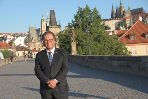 Vietnam, Czech strengthen bilateral ties - ảnh 1