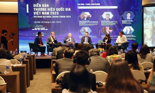 Vietnam Green brand is key for sustainable development - ảnh 1