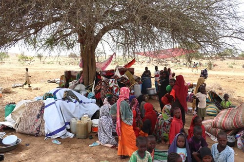 UN representative says Sudan situation reaching “breaking point” - ảnh 1