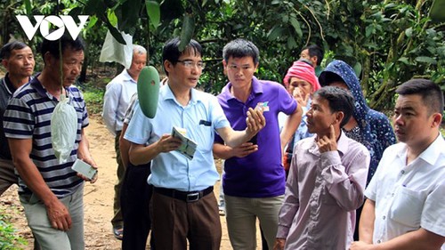 Agriculture doctor dubbed “scientist of farmers” - ảnh 2