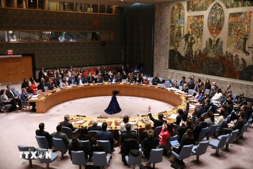 Five countries assume their responsibilities as elected members of UN Security Council - ảnh 1