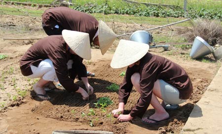 A Hôi An: Des touristes se metttent dans la peau de paysans vietnamiens - ảnh 1