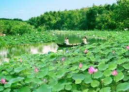 Le tourisme flottant dans le delta du Mékong - ảnh 1