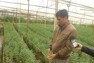 Figure vietnamienne : Vu Nhuan, un horticulteur avant-gardiste - ảnh 1