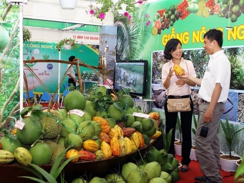 La Foire-exposition de l’industrie, de l’agriculture et du commerce  dans les Hautx plateaux - ảnh 1