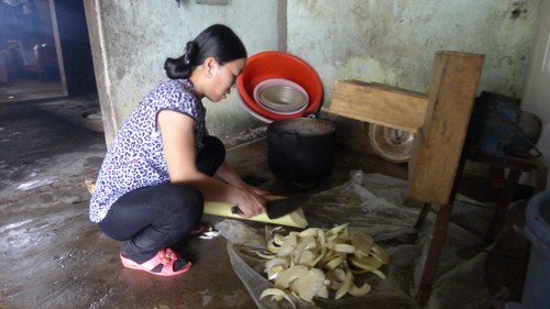 Ninh Móc Sầu, exemple de lutte contre la pauvreté à Mong Cai - ảnh 2