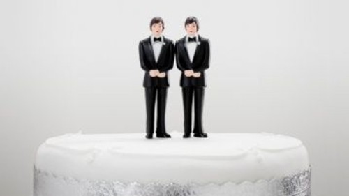 Il faut une feuille de route pour le mariage homosexuel - ảnh 1