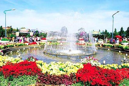 Promouvoir l’image de la ville de mille fleurs  - ảnh 1