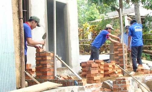 Les étudiants volontaires de Phu Yên agissent pour la campagne - ảnh 3