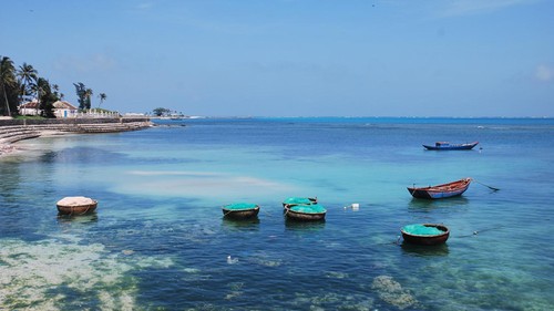 ... aux quatre coins du pays - ảnh 2