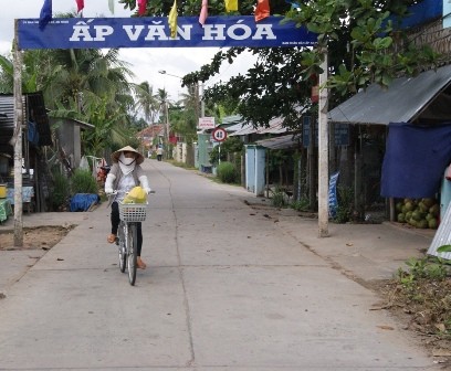 La restructuration agricole bat son plein à Dông Thap - ảnh 1