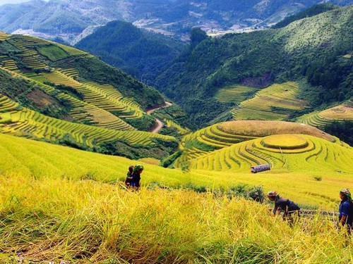 Muong Hoa, une vallée pittoresque à Sapa - ảnh 2