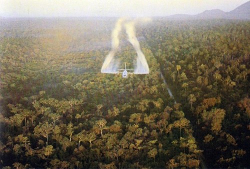 Aides aux vétérans de guerre du Vietnam contaminés par l'agent Orange - ảnh 1