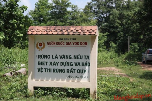 Le parc national de Yok Don - ảnh 1