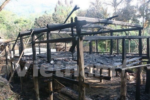 Restaurer la maison Lang des Muong - ảnh 1