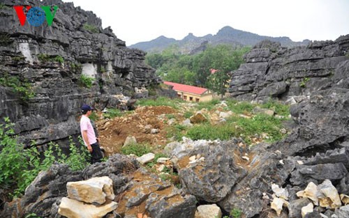 Découverte d’objets à la citadelle des Ho - ảnh 1