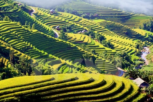 Coup d’envoi de la semaine culturelle et touristique des rizières en terrasse de Hoàng Su Phi  - ảnh 1