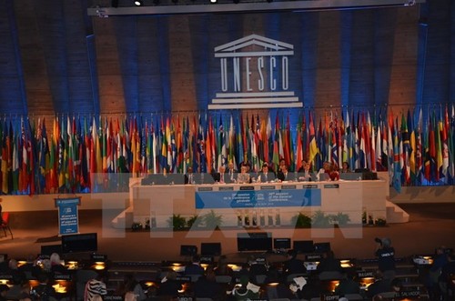 Le Vietnam élu au Conseil exécutif de l’UNESCO - ảnh 1