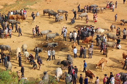 Les sites photogéniques de Lao Cai - ảnh 4