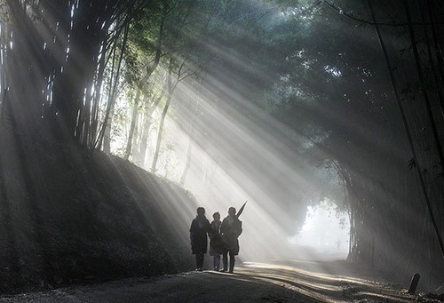 Les sites photogéniques de Lao Cai - ảnh 7