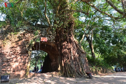 La vieille citadelle de Son Tay - ảnh 1