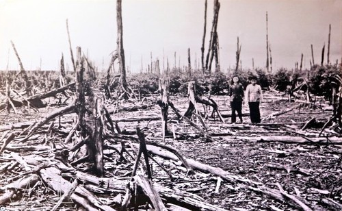 Conséquences de la dioxine au Vietnam et les actions pour y remédier - ảnh 1