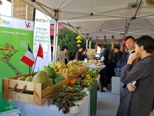 L’exportation des fruits vietnamiens en France. - ảnh 1