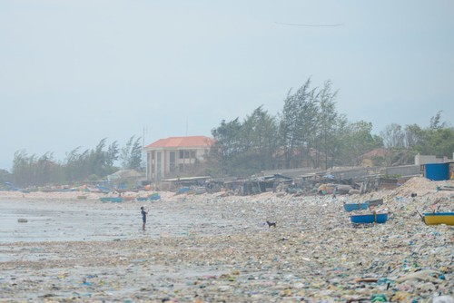 Sauvez la mer! Seule l’action crée le changement - ảnh 8