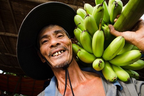 Au Vietnam, quelle est la meilleure saison pour les fruits? - ảnh 3