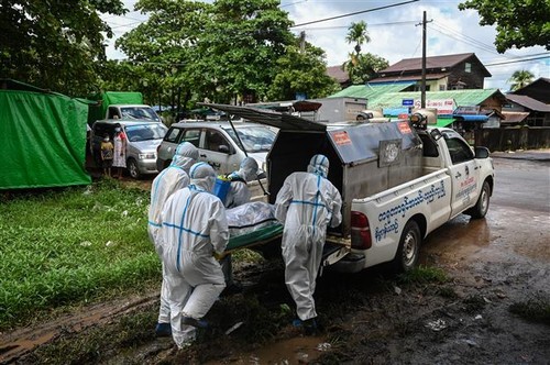 Coronavirus: le point sur la pandémie dans le monde le 14 juillet - ảnh 1