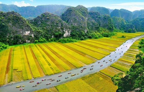 Un Vietnam original dans l’objectif des photographes vietnamiens et étrangers - ảnh 14