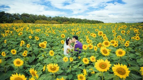 Dalat parmi les meilleures destinations florales du monde   - ảnh 3