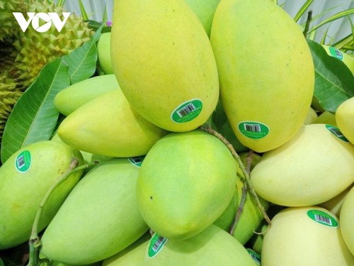 Les plats à base de mangue au Vietnam - ảnh 1