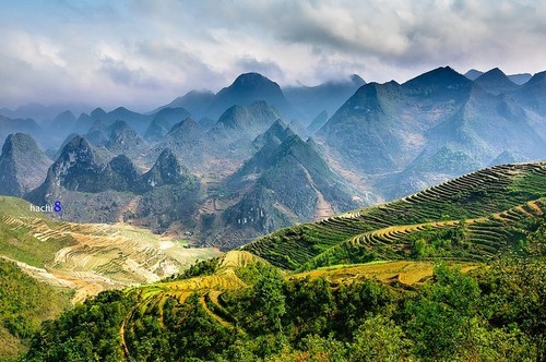 Splendeur du plateau karstique de Dông Van à Hà Giang - ảnh 2