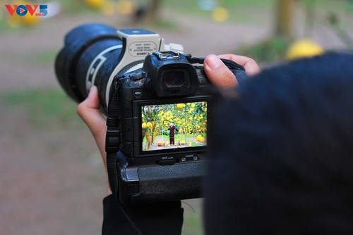 Les jardins de pamplemousses, un havre photographique prisé lors du Têt - ảnh 6