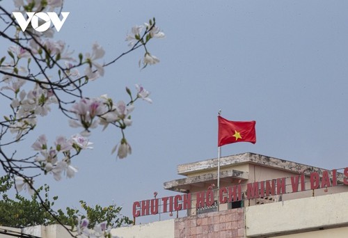 Diên Biên à la saison des fleurs de bauhinie - ảnh 9