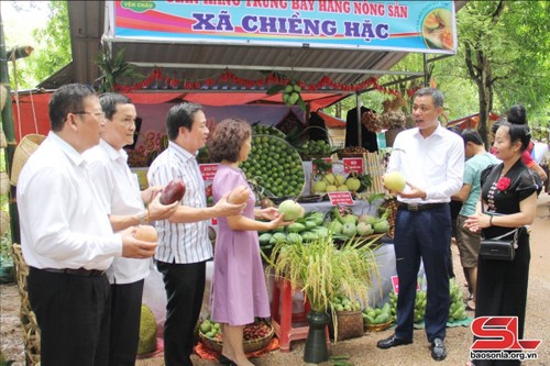 Ouverture de la cinquième fête de la mangue d’Yên Châu 2024 - ảnh 3