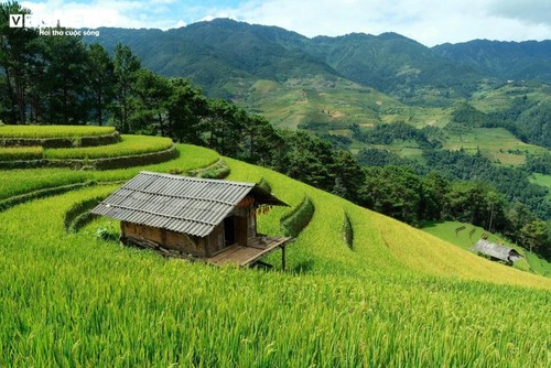 Hang Dang Dê à la saison des récoltes  - ảnh 8