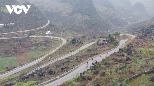 Tuyên Quang accélère la transformation numérique pour développer le tourisme - ảnh 3