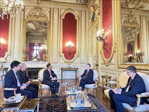 Le Vietnam renforce sa coopération avec des collectivités françaises - ảnh 1