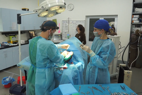 A bear's life - How an endangered species found the promise land - ảnh 5