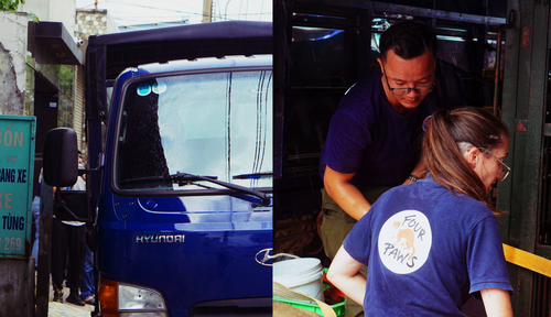 A bear's life - How an endangered species found the promise land - ảnh 2