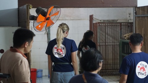 A bear's life - How an endangered species found the promise land - ảnh 4