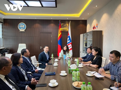 VOV discusses expanding cooperation with Mongolian broadcaster MNB - ảnh 1