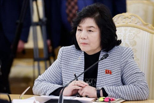 North Korean foreign minister visits Russia for strategic dialogue - ảnh 1