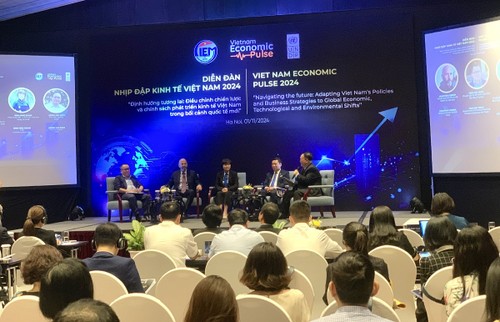 Vietnam’s economy regains pre-COVID growth momentum: UNDP forum  - ảnh 1