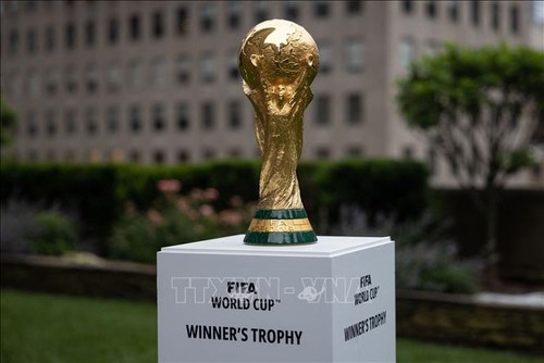 FIFA confirms 2030 World Cup hosts, Saudi set to stage 2034 tournament - ảnh 1